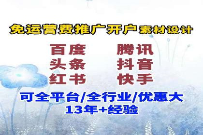 某知名企业SEM营销全案解析